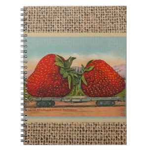 Carnet Fraises Géant Antique Fruit Amusement