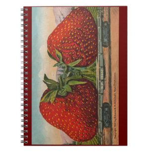 Carnet Fraises Giant Fruit Antique Fruit Amusant