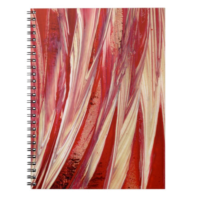 Carnet Frange de plume Fuchsia (Devant)