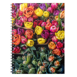 Carnet Fresh Flower Market – Vibrant Floral