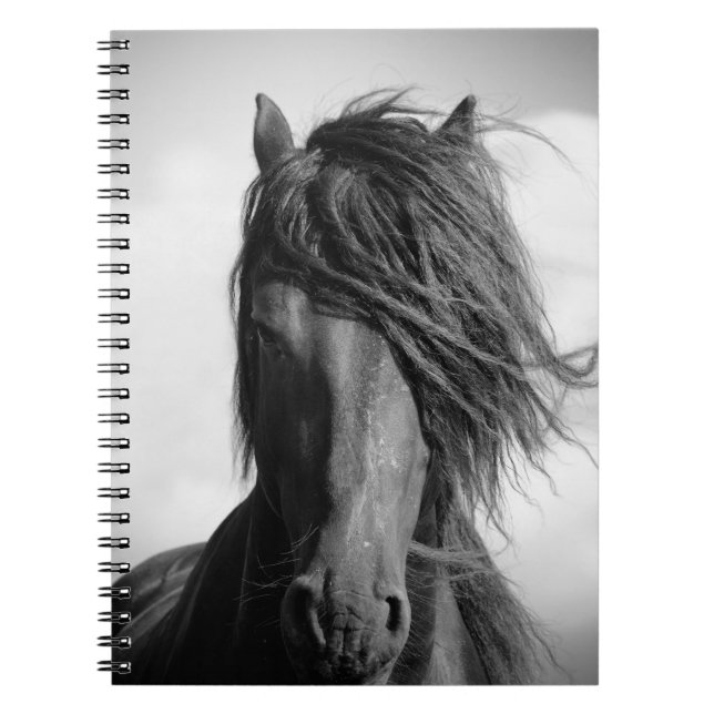 Carnet Friesian Stallion au vent. (Devant)
