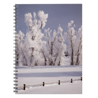Carnet Frost a couvert les arbres et la barrière, le