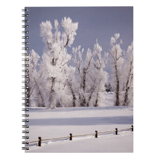 Carnet Frost a couvert les arbres et la barrière, le (Devant)