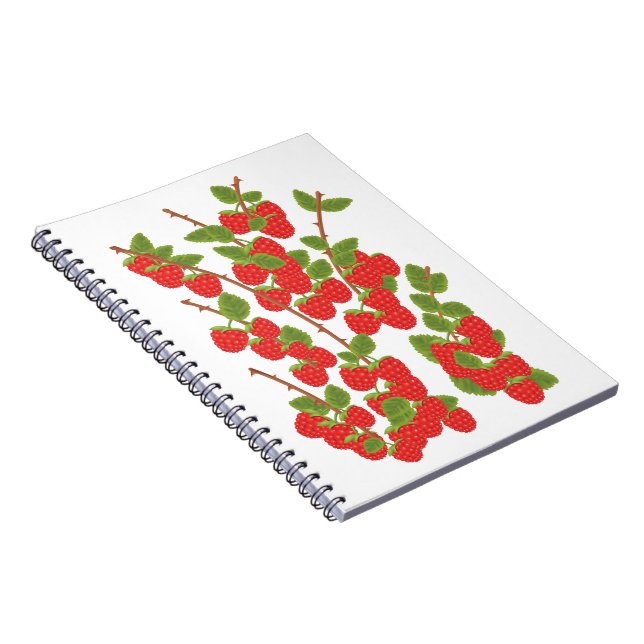 Carnet Fruit de framboise (Côté Droit)