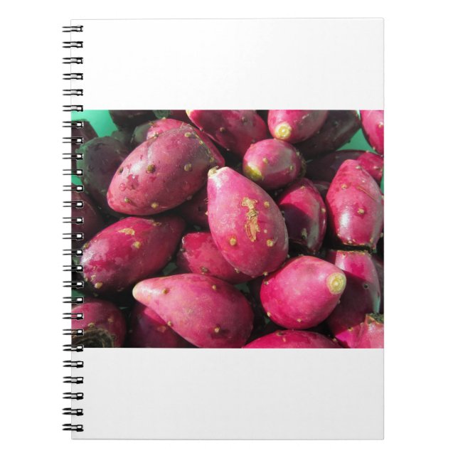 Carnet Fruit rouge lumineux de figuier de barbarie (Devant)