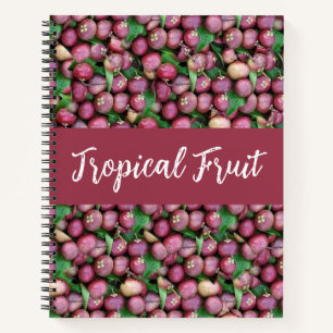 Carnet Fruit tropical mauve-mangouste