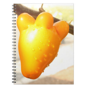 Carnet Fruit Visage Renard