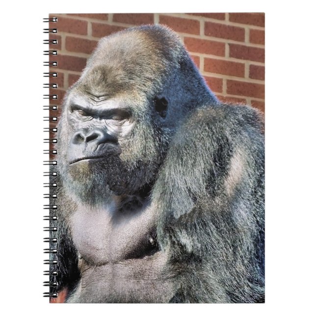 CARNET FUN GORILLA (Devant)