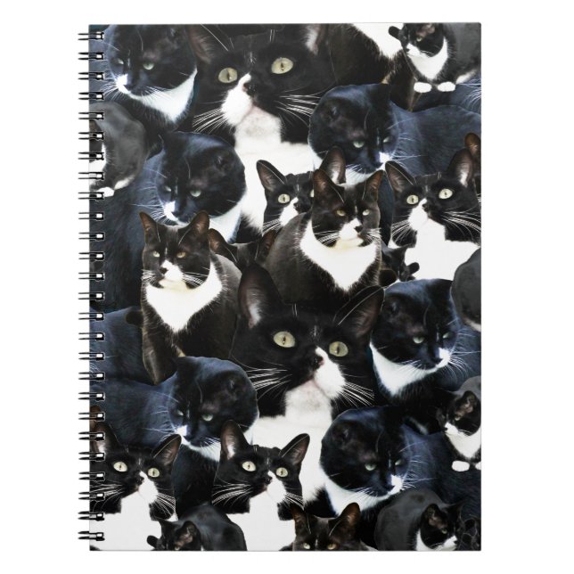 Carnet Fun Kitty Photo Collage Art (Devant)