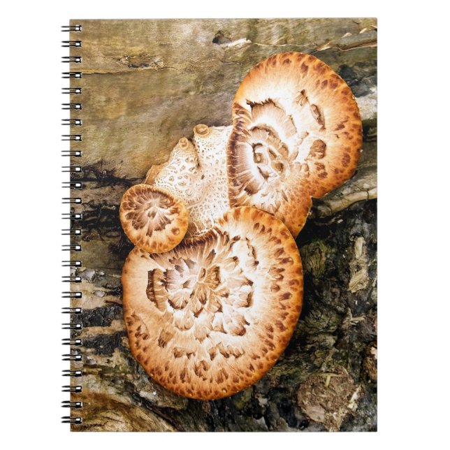CARNET FUNGI (Devant)