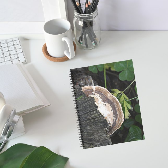 Carnet Fungus polypores sur souche d'arbre (In Situ)