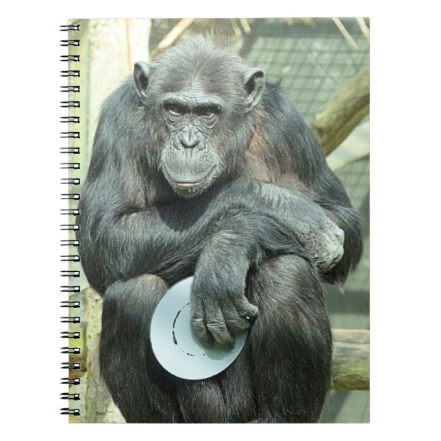 CARNET FUNNY CHIMPANZEE (Devant)
