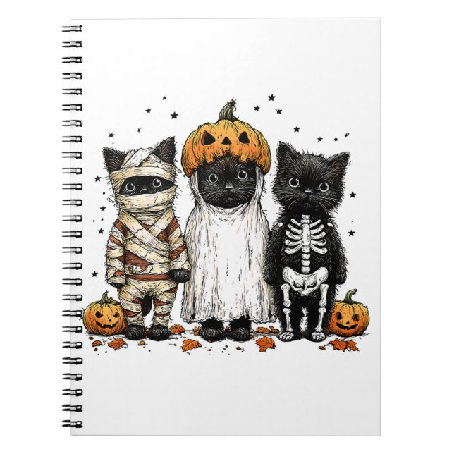Carnet Funny trois chats d'Halloween (Devant)