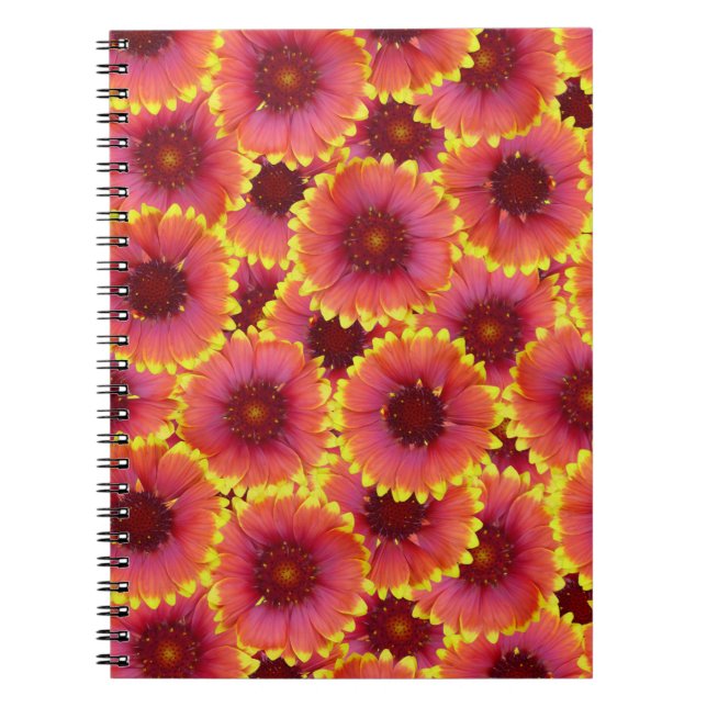 Carnet Gaillardia Motif sans ambages (Devant)