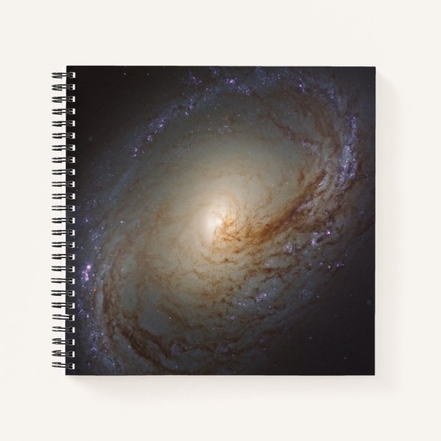 Carnet Galaxie Lenticulaire Barrée Ngc 3368 (Devant)
