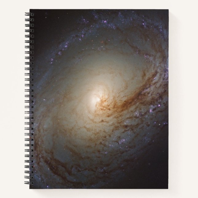 Carnet Galaxie Lenticulaire Barrée Ngc 3368 (Devant)