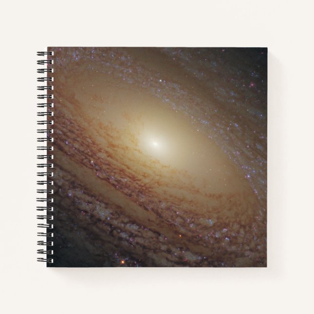Carnet Galaxie Spirale Ngc 2841 (Devant)