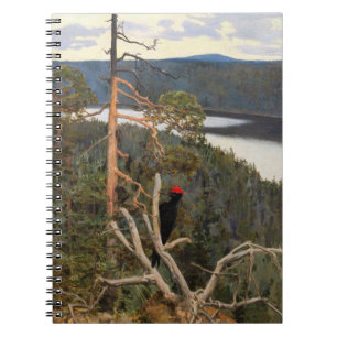 Carnet Gallen-Kallela - Grand pic noir 1894