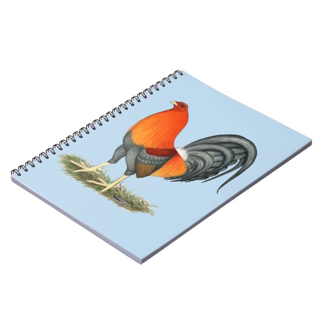 Carnet Gamecock Blue Red Roster (Côté gauche)