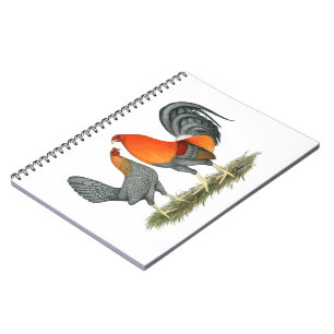 Carnet Gamefowl rouge bleu