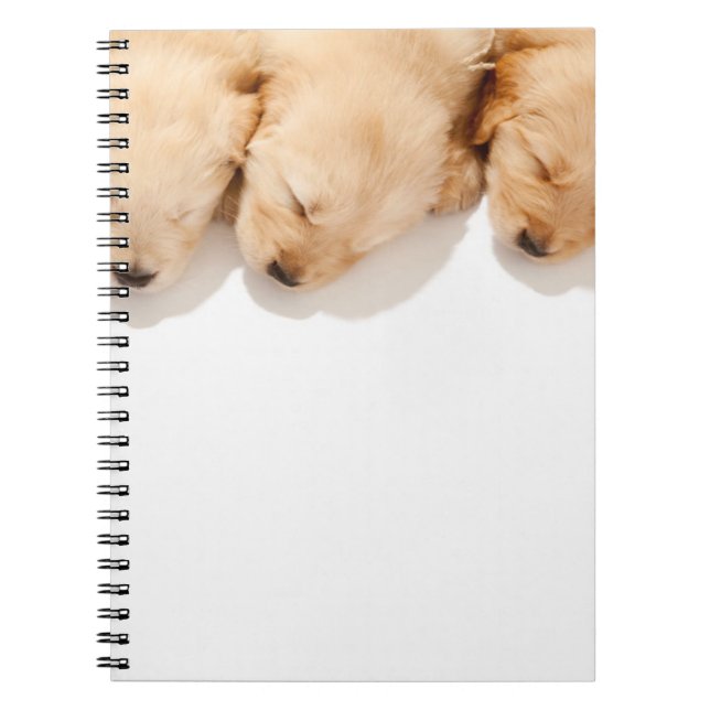 Carnet Gamme de Marionnettes dormantes (Devant)