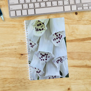 Carnet Gant de Renard Blanc aux Taches Roses Floral