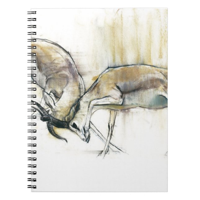 Carnet Gazelles 2009 de sable (Devant)