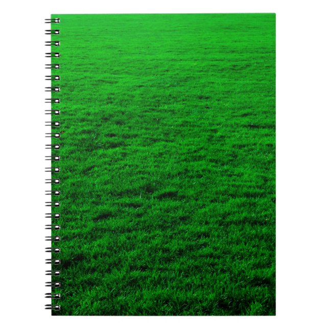 Carnet gazon vert Arrière - plan (Devant)