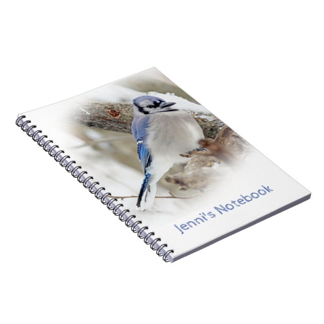 Carnet Geai bleu dans la neige d'hiver (Côté Droit)