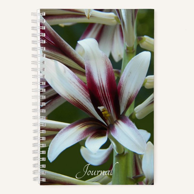 Carnet Géant Himalaya Lily Floral (Recto)