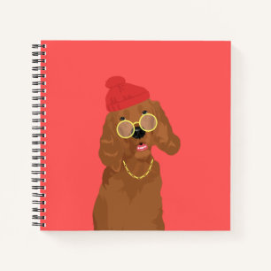 Carnet Georgie The Rapper Irish Setter Dog