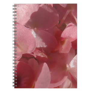 Carnet Géranium rose : presque solide Rose clair