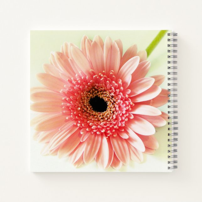 Carnet Gerbera Daisy (Dos)
