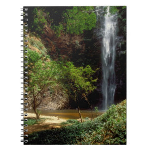Carnet Ghana : chutes de Wli, également appelées chutes d