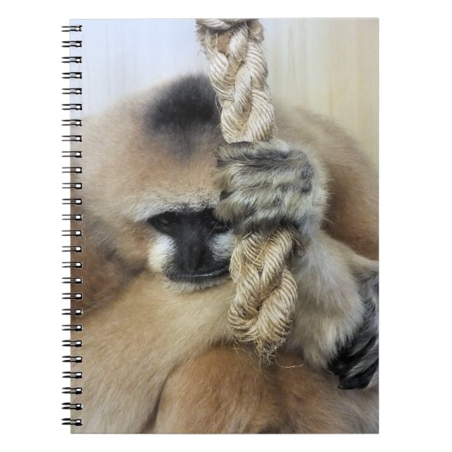 CARNET GIBBON (Devant)