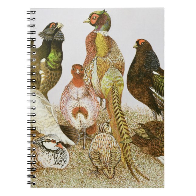 Carnet Gibier à plumes (Devant)