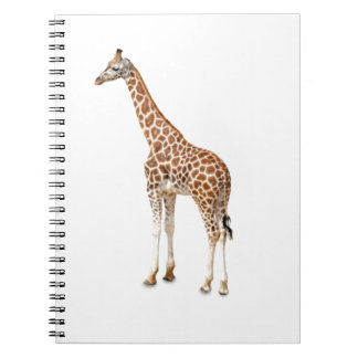 Carnet Girafe à long cou