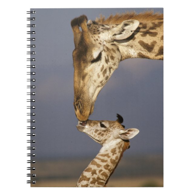 Carnet Girafe embrassant un bébé girafe (Devant)