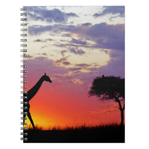 Carnet Girafe en silhouette au lever du soleil, Giraffa