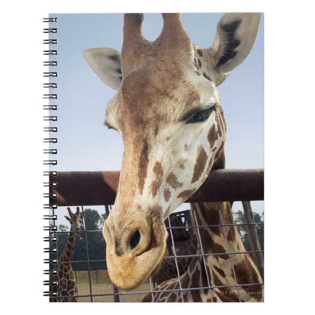 Carnet Giraffe (Devant)