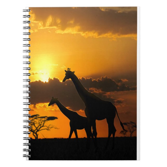 Carnet Giraffe Famille 2 (Devant)