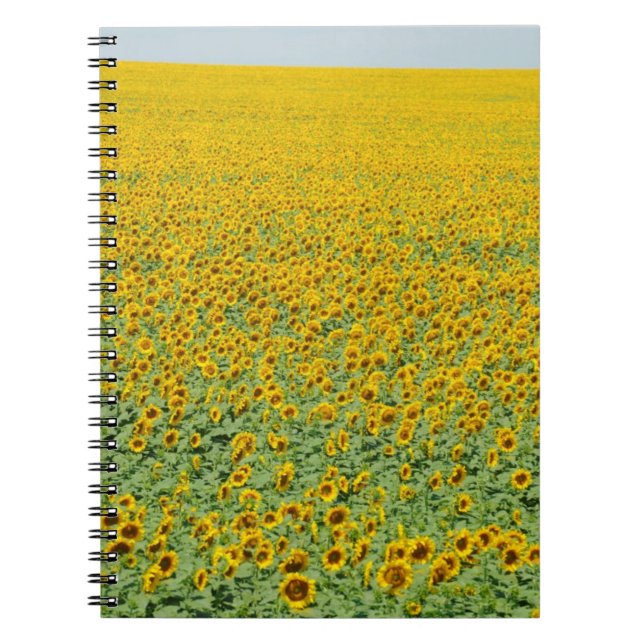 Carnet Gisement jaune de tournesol (Devant)