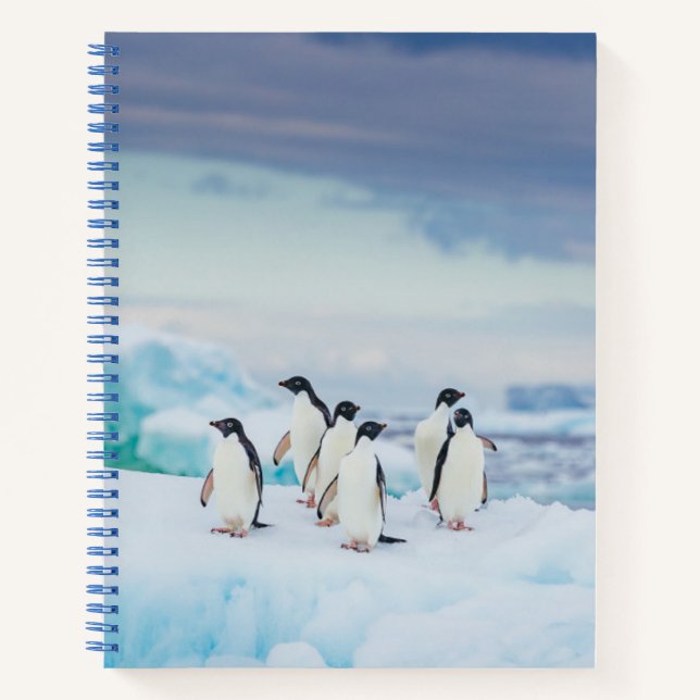 Carnet Glace et neige | Adelie Penguins Antarctique (Devant)