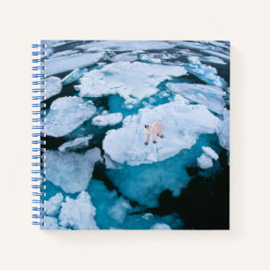 Carnet Glace et neige Ours polaire, Océan Arctique, Sva