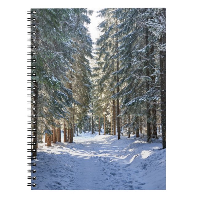 Carnet Glace et neige | Tatra Mountains, Pologne (Devant)