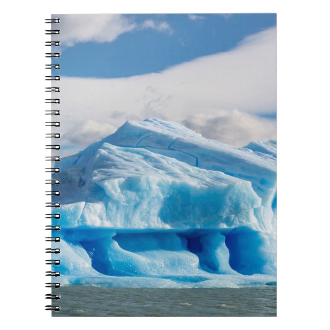 Carnet Glaciars, lac Argentino (Devant)