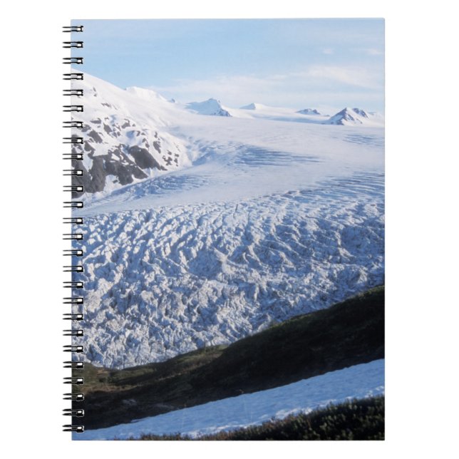 Carnet Glacier Exit dans le parc national des fjords de K (Devant)
