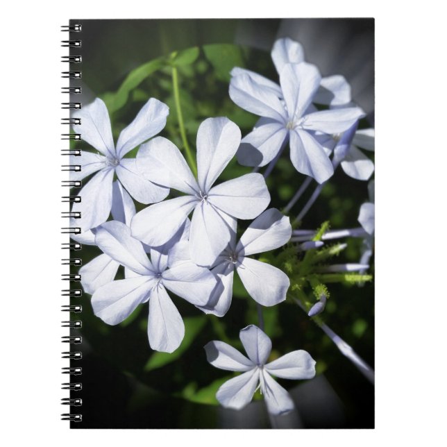 Carnet Globe des fleurs (Devant)