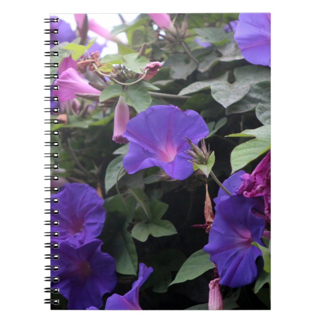 Carnet Glorieuses du matin de printemps en bleu (Devant)