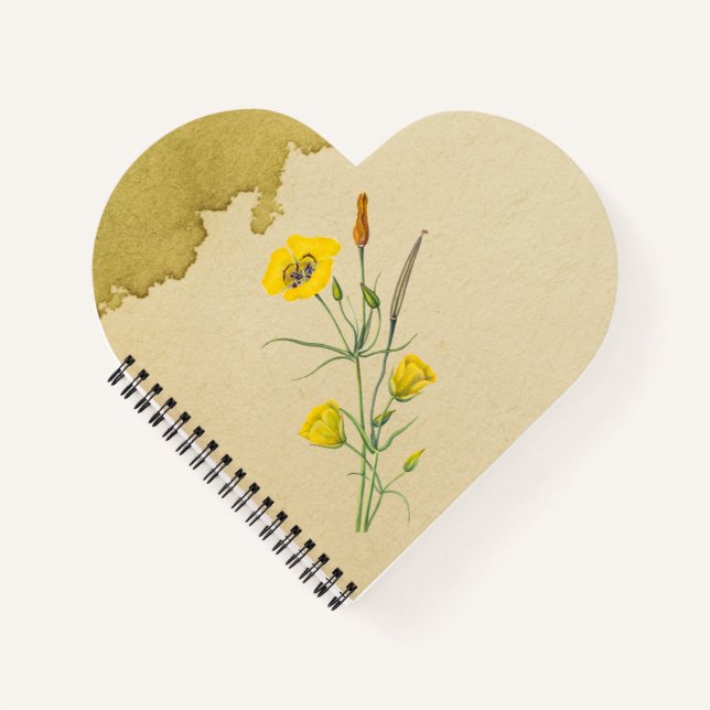 Carnet Golden Bowl Mariposa Flower (Devant)